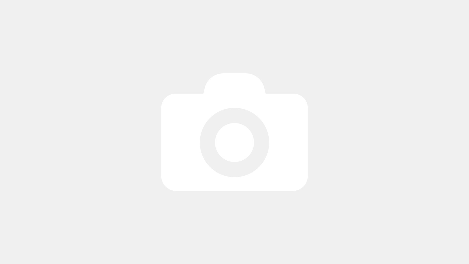 Стая тест - галерия 1