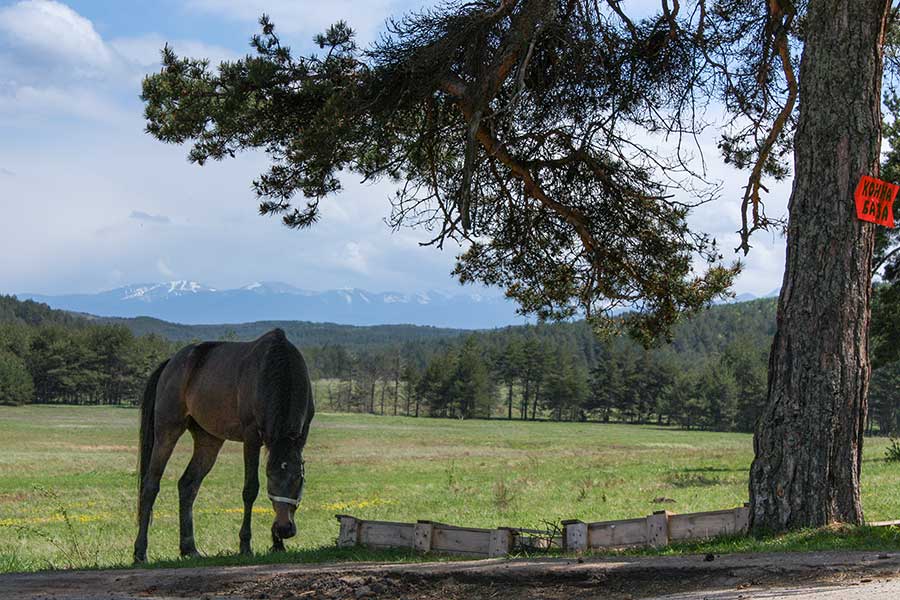 Плана планина